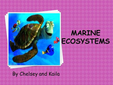 By Chelsey and Kaila. Marine ecosystems includes: 1.Intertidal zone: Sandy beaches, rocks, estuaries, mangrove swamps and coral reefs. Many of the species.