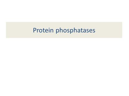 Protein phosphatases. Protein phosphatase acting as a reset button for kinases this action is either a) inactivating or b) activating.