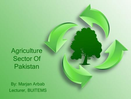 Agriculture Sector Of Pakistan By: Marjan Arbab Lecturer, BUITEMS.