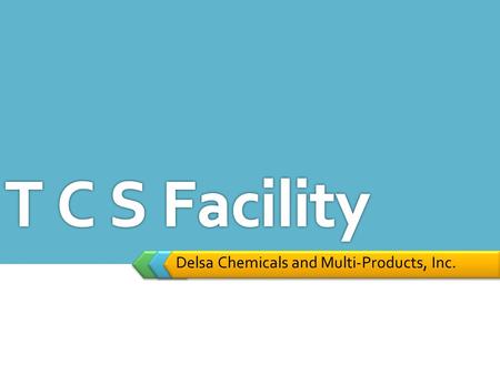 Delsa Chemicals and Multi-Products, Inc.. Qualification set by the World Bank to operate TCS facility  Should be in related business (Collection, transport.