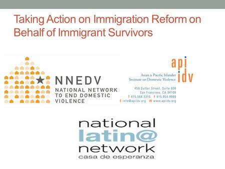 Taking Action on Immigration Reform on Behalf of Immigrant Survivors.