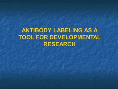 ANTIBODY LABELING AS A TOOL FOR DEVELOPMENTAL RESEARCH.