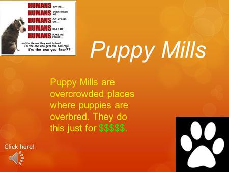 Puppy Mills are overcrowded places where puppies are overbred. They do this just for $$$$$. Puppy Mills Click here!