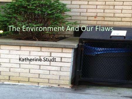The Environment And Our Flaws Katherine Studt. THE THINGS WE TAKE ADVANTAGE OF WATER PAPER ENERGY Paper products are made of trees that keep us alive.