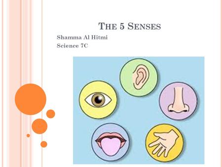 T HE 5 S ENSES Shamma Al Hitmi Science 7C. S MELL.