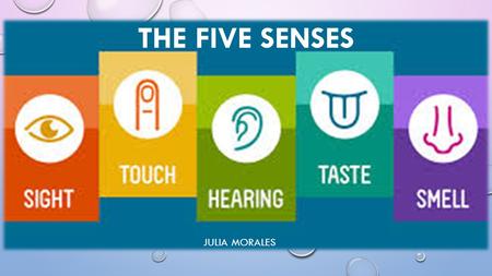 The Five Senses Julia Morales.