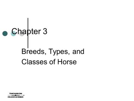 Breeds, Types, and Classes of Horse