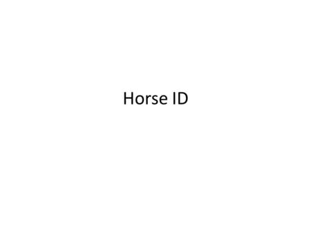 Horse ID. Donkey Donkey: Hoofed mammal smaller build than horses but have longer ears.