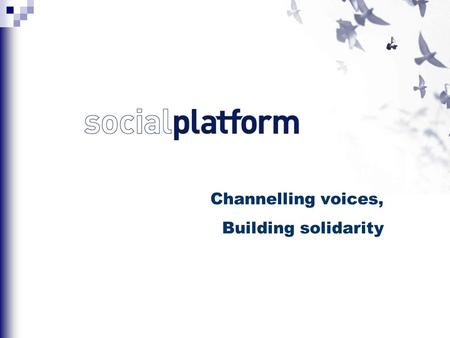 Channelling voices, Building solidarity. The Platform of European Social NGOs (Social Platform) is the alliance of representative European federations.