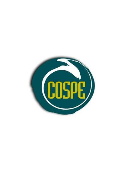 COSPE Co-operation for the Developing Countries is an association promoting international dialogue, fair, sustainable development and human rights.