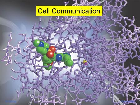 Cell Communication AP Biology Minzenmayer.