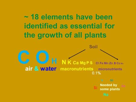 Soil C O H N K Ca Mg P S Cl Fe Mn Zn B Cu Mo air & water