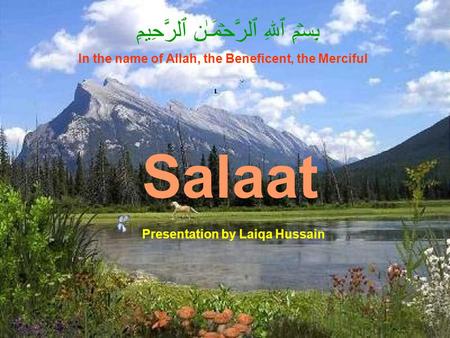Salaat بِسۡمِ ٱللهِ ٱلرَّحۡمَـٰنِ ٱلرَّحِيمِ In the name of Allah, the Beneficent, the Merciful Presentation by Laiqa Hussain.