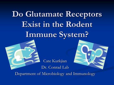 Do Glutamate Receptors Exist in the Rodent Immune System? Cate Kurkjian Dr. Conrad Lab Department of Microbiology and Immunology.