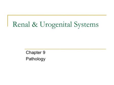 Renal & Urogenital Systems