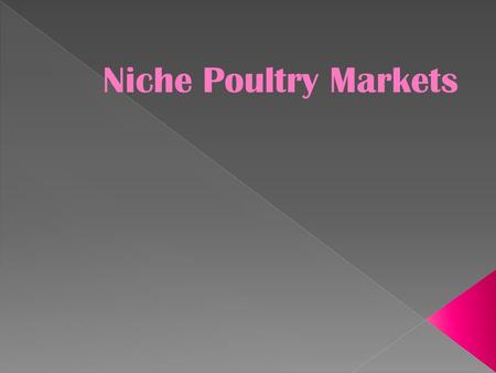 Niche Poultry Markets.  Live Bird Markets  Squab Production  Duck Production  Upland Game Birds Niche Poultry Markets.