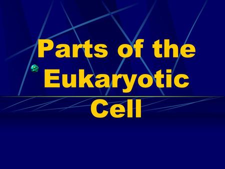 Parts of the Eukaryotic Cell Cell Membrane Selectively Permeable = only certain things can enter / exit the cell.