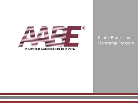 Pilot – Professional Mentoring Program The American Association of Blacks in Energy.