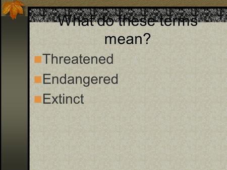 What do these terms mean? Threatened Endangered Extinct.