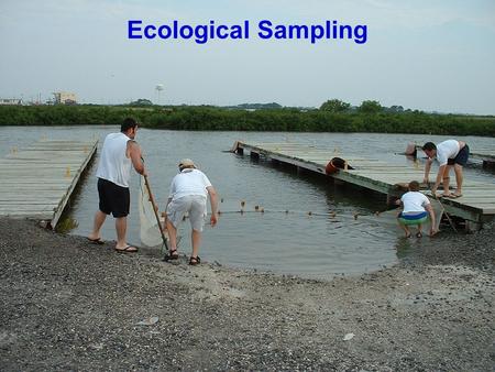 Ecological Sampling. Why Do We Sample? Determine presence and/or abundance Monitor population fluctuations Assess ‘ecological damage’ Assess quality of.