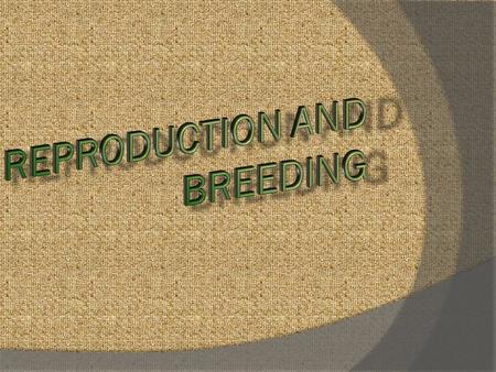 Reproduction and Breeding