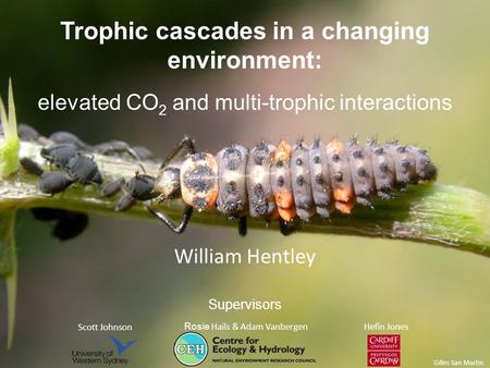 Trophic cascades in a changing environment: elevated CO 2 and multi-trophic interactions Scott Johnson Rosie Hails & Adam Vanbergen Hefin Jones Supervisors.