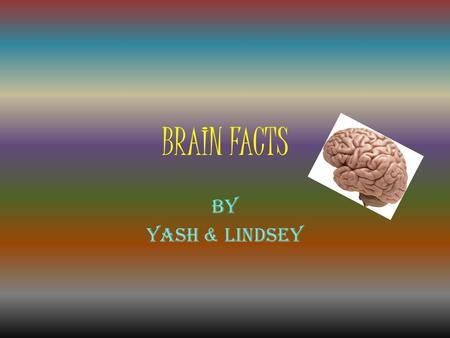 BRAIN FACTS By Yash & Lindsey. Fact Page 1  The adult human brain weighs 3 lbs.  The average human brain is 140 mm wide  The human brain has about.