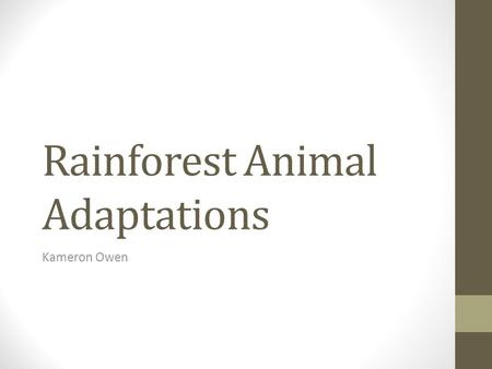 Rainforest Animal Adaptations Kameron Owen. Rainforest Layers The layers of the rainforest can help animals adapt to their surroundings.