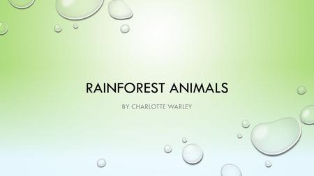 RAINFOREST ANIMALS BY CHARLOTTE WARLEY. INTRODUCTION I wanted to find out about rainforest animals, my project has facts about the rainforest animals.