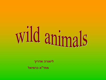 ליאורה אדריך מתיא כרמיאל. Wild animals Let’s meet some w i l d animals.