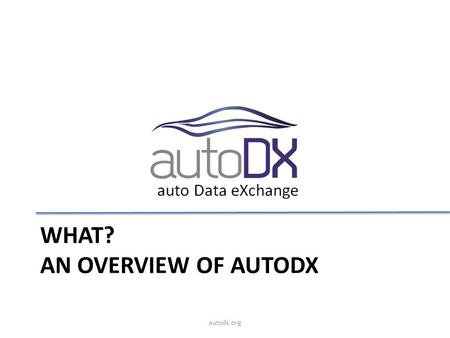 What? An Overview of autodx
