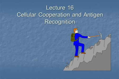 Lecture 16 Cellular Cooperation and Antigen Recognition.