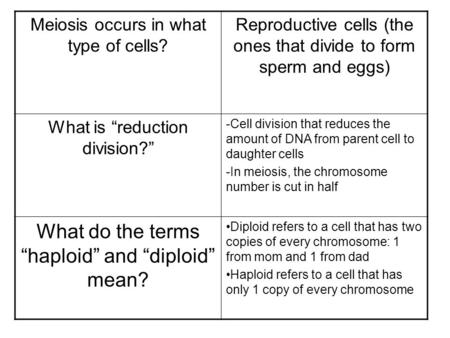What do the terms “haploid” and “diploid” mean?