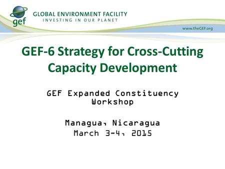 GEF-6 Strategy for Cross-Cutting Capacity Development GEF Expanded Constituency Workshop Managua, Nicaragua March 3-4, 2015.