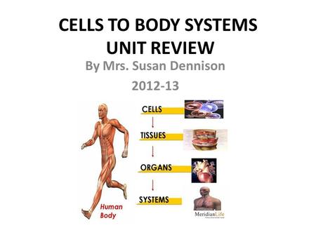 CELLS TO BODY SYSTEMS UNIT REVIEW By Mrs. Susan Dennison 2012-13.
