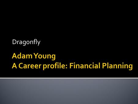 Dragonfly.  Adam Young  Business owner of Dragonfly Planning:  Financial planning business  Creates relationships with clients to help them achieve.