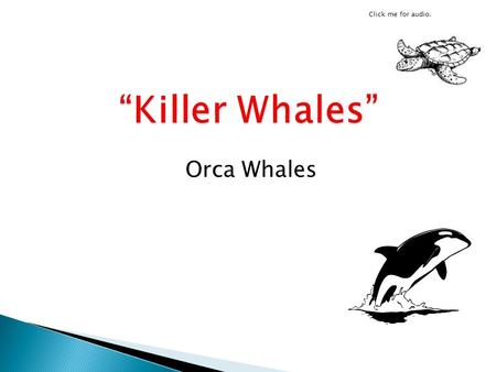 Click me for audio. “Killer Whales” Orca Whales.