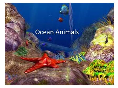 Ocean Animals Jentrey Waugh Unit 3 Project. Directions Shapes in Yellow are required. Shapes in other colors are optional. Enjoy learning about sea animals.