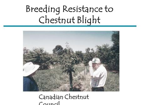 Breeding Resistance to Chestnut Blight Canadian Chestnut Council.