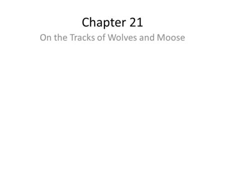 Chapter 21 On the Tracks of Wolves and Moose. Young Gray Wolf-Romeo Every summer and a few weeks in winter, scientist investigate the Isle Royale’s pack.