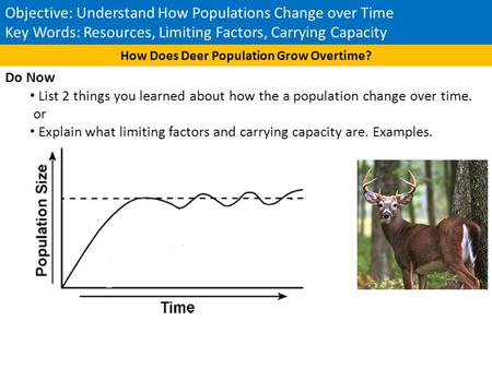 How Does Deer Population Grow Overtime?
