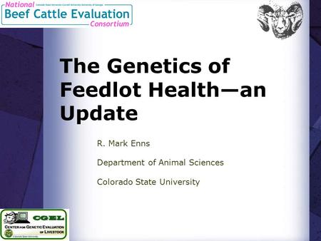 The Genetics of Feedlot Health—an Update R. Mark Enns Department of Animal Sciences Colorado State University.