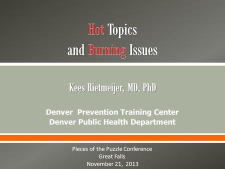 Denver Prevention Training Center Denver Public Health Department Pieces of the Puzzle Conference Great Falls November 21, 2013.