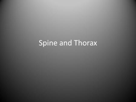 Spine and Thorax. The Spine The Spine supports all of the weight of the upper body The Spine or Vertebral Column consists of 4 sections: The Cervical.