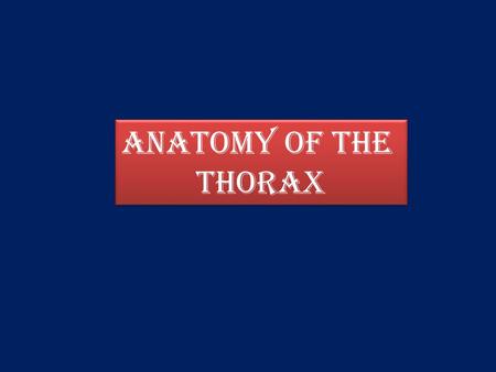 Anatomy of the Thorax Anatomy of the Thorax. A) THE THORACIC WALL Posteriorly by the thoracic part of the vertebral column Posteriorly by the thoracic.