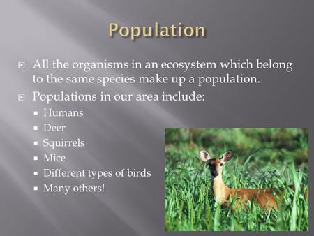 Population All the organisms in an ecosystem which belong to the same species make up a population. Populations in our area include: Humans Deer Squirrels.