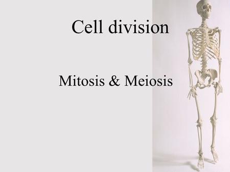 Cell division Mitosis & Meiosis.