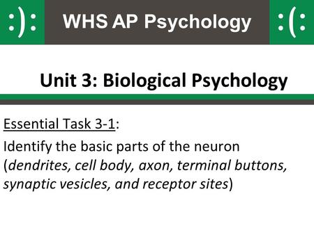 WHS AP Psychology Unit 3: Biological Psychology Essential Task 3-1: Identify the basic parts of the neuron (dendrites, cell body, axon, terminal buttons,