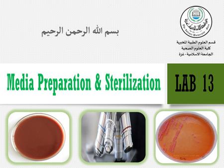 Media Preparation & Sterilization
