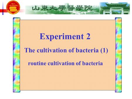 routine cultivation of bacteria